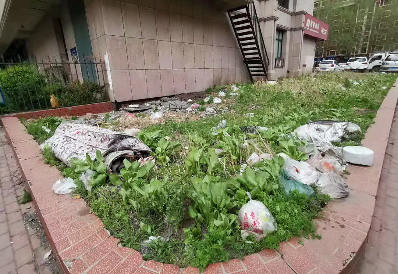 小区门口百余平小花园竟成垃圾场