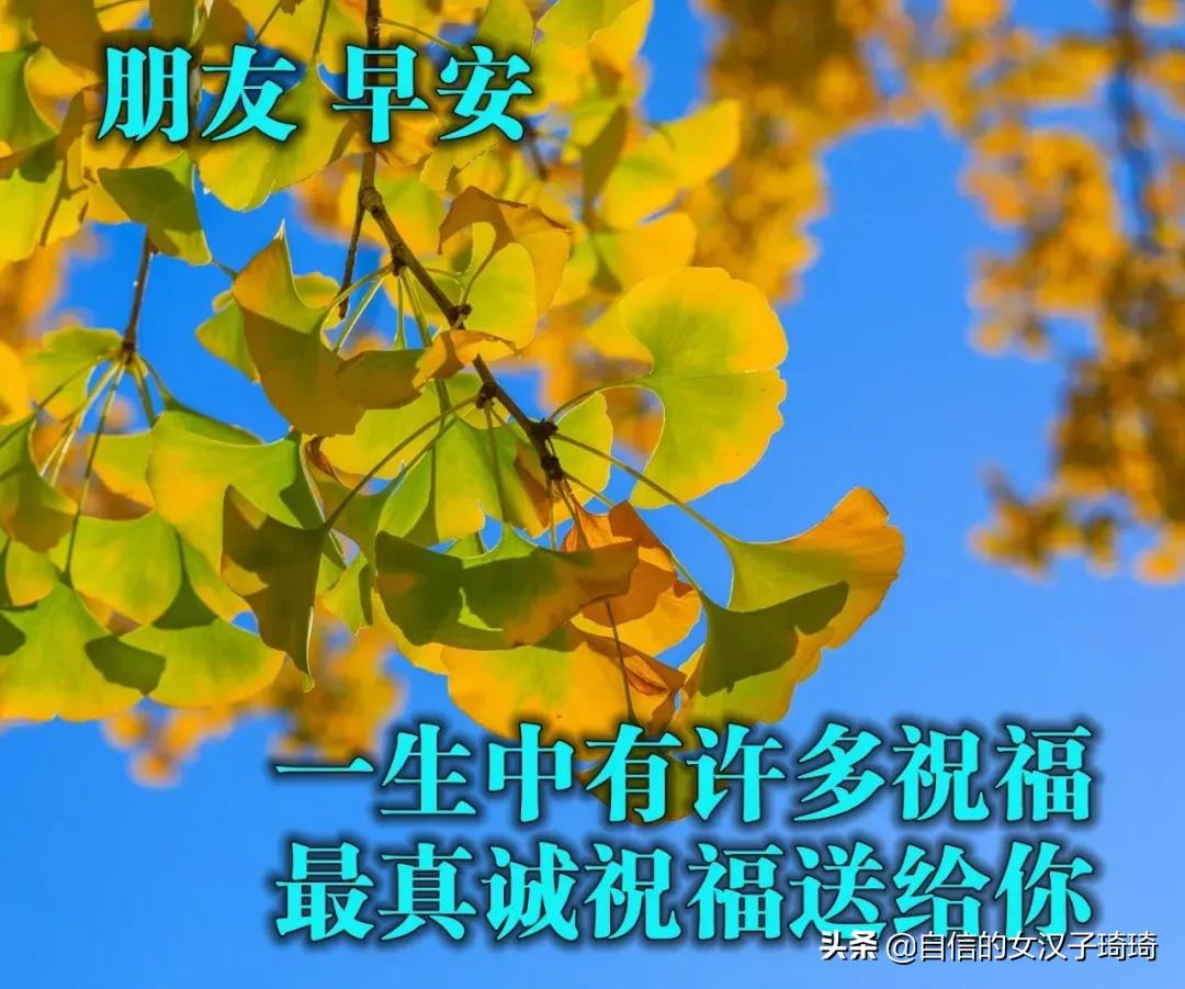 晚秋十月，愿你有衣暖身，有人暖心，不畏风霜，无惧忧伤。早安