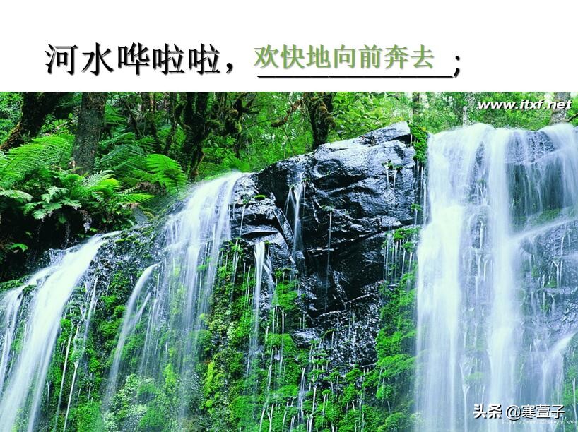 拟人句、比喻句傻傻分不清？看这里