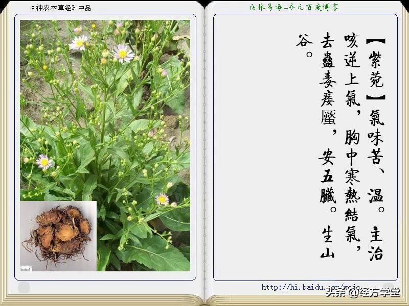 《神农本草经》全册图文解析 建议收藏