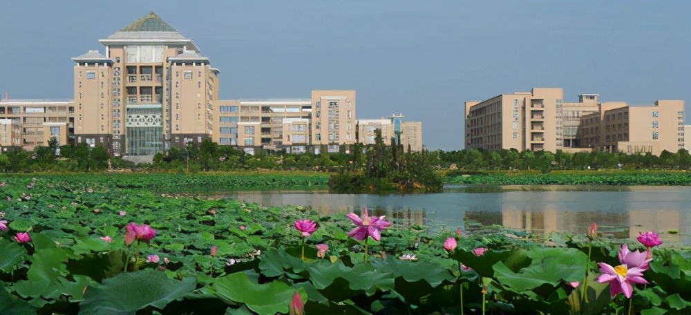 武汉科技大学考研难吗（武汉科技大学研究生招生简章2021）