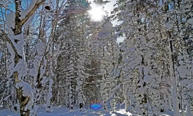 人生到处知何似，应似飞鸿踏雪泥，长白山一片雪白，等你留下脚印