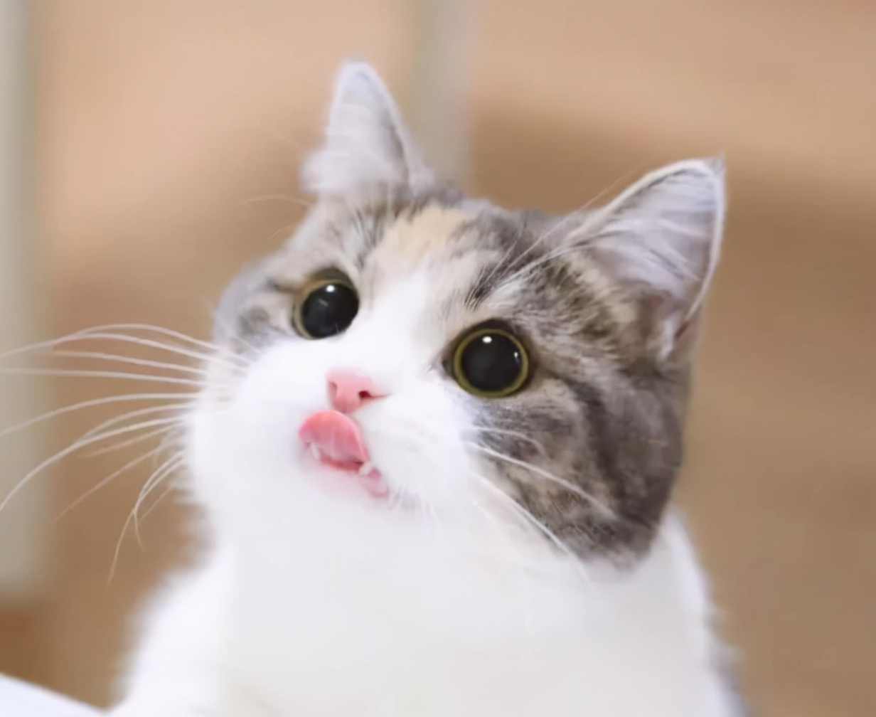 成都，大学校花来了！