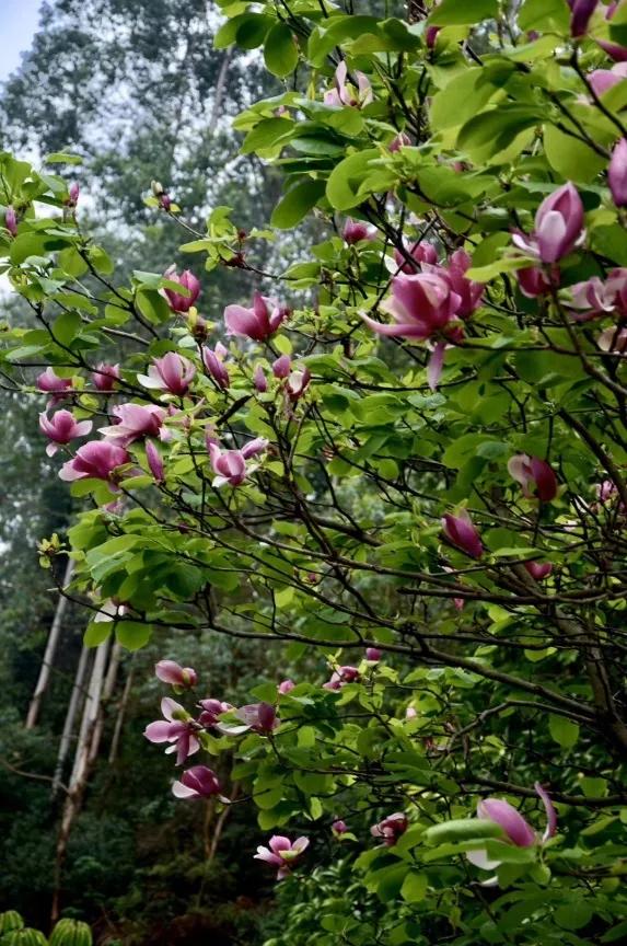 广州涉外经济职业技术学院：春招在即，选择“涉外”给你N个理由