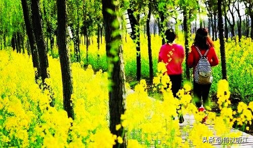 清明不独悲，趣味也当时