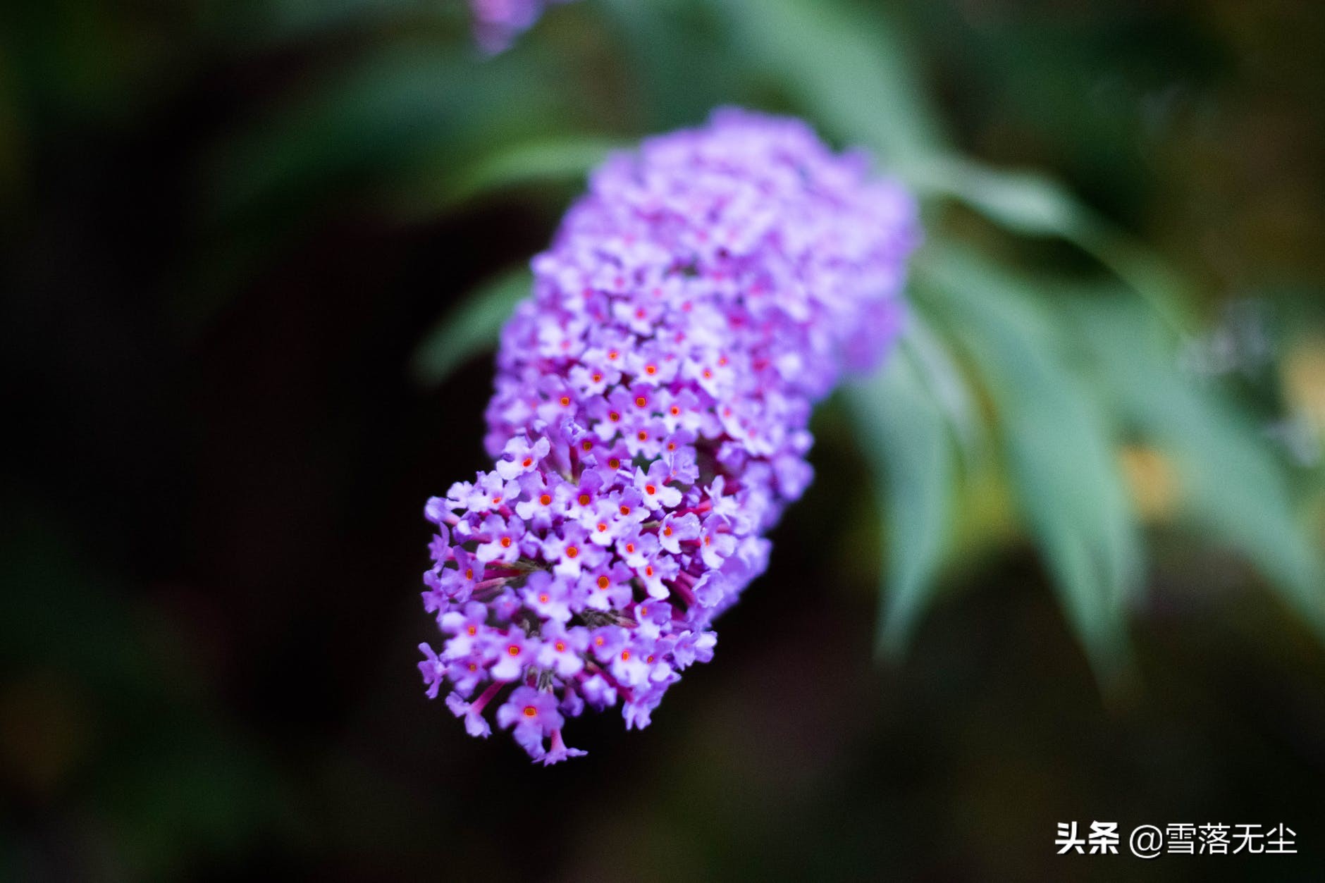 女人，试着“狠一点”，你会活得更漂亮