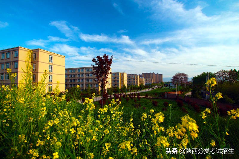 立德 笃学 修能 致用 ‖ 西安职业技术学院