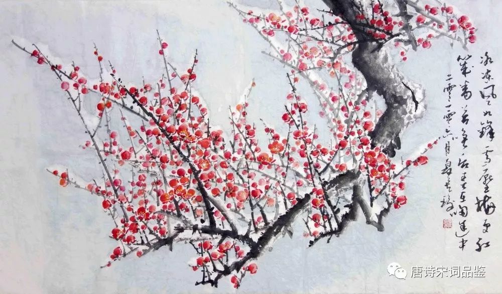 古诗词赏析 |《梅花》王安石 |「宋代」