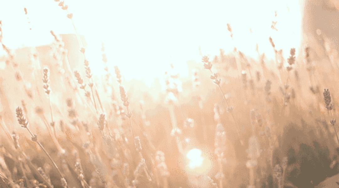 那些关于秋天的成语，美，而且忧伤