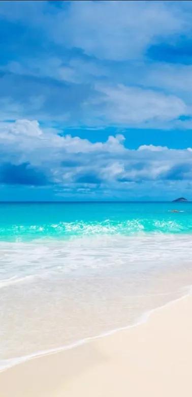 妈妈，我们总是把你藏在你的心里。