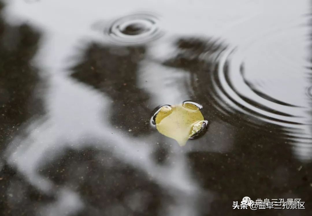 【最美秋雨诗词】透诗窥雨景，劝君勿秋愁