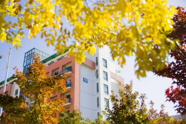 高考毕业走进大学丨盘点青岛有哪些好大学——中国石油大学