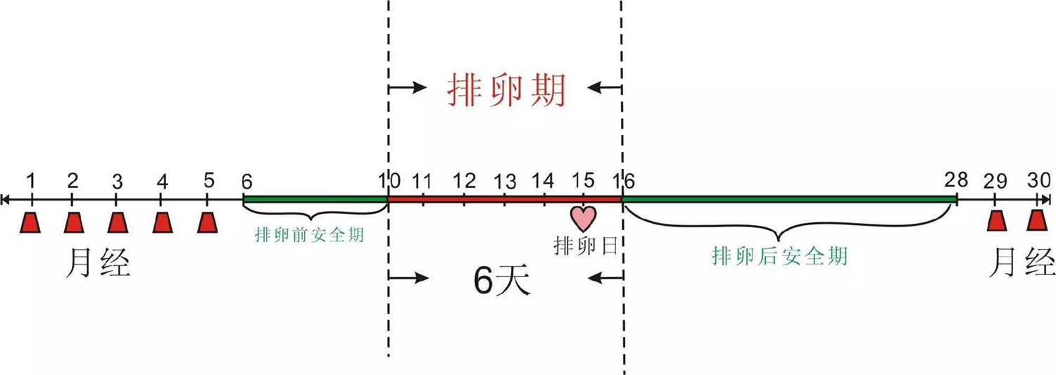 排卵期持续时间多久(排卵期、受孕期、预产期怎么计算？掌握这些方法，才能正确护理)