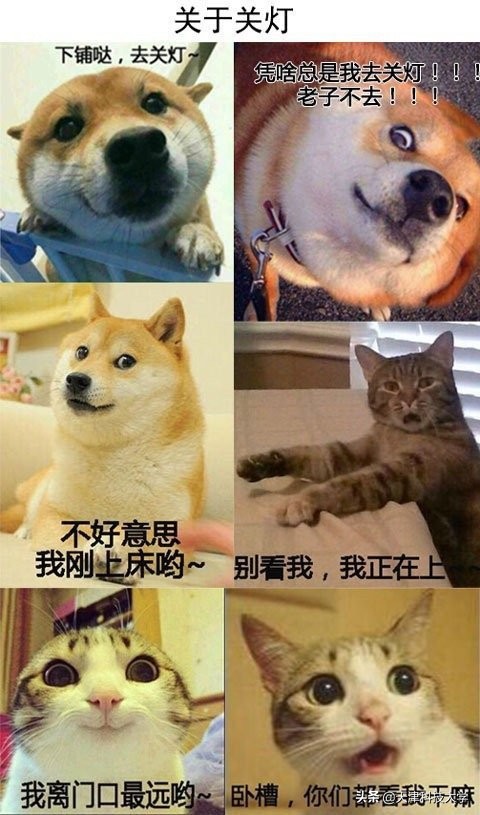 揭秘大学生的真实日常！