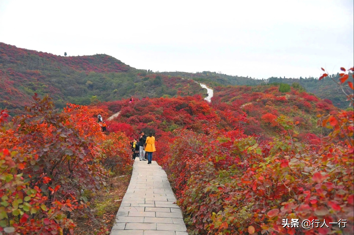 河南的秋天，这10大景区一定要去看看，每一处都美出仙境，还免费