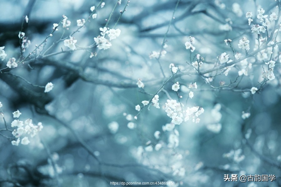 100首《咏物诗》：世间万物在古人的笔下竟如此的唯美