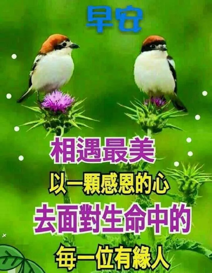 心若在，梦就在！做一个有梦想的人，早安