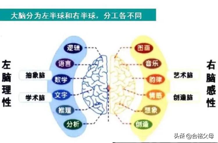 超右脑照相记忆法,超右脑照相记忆法 pdf