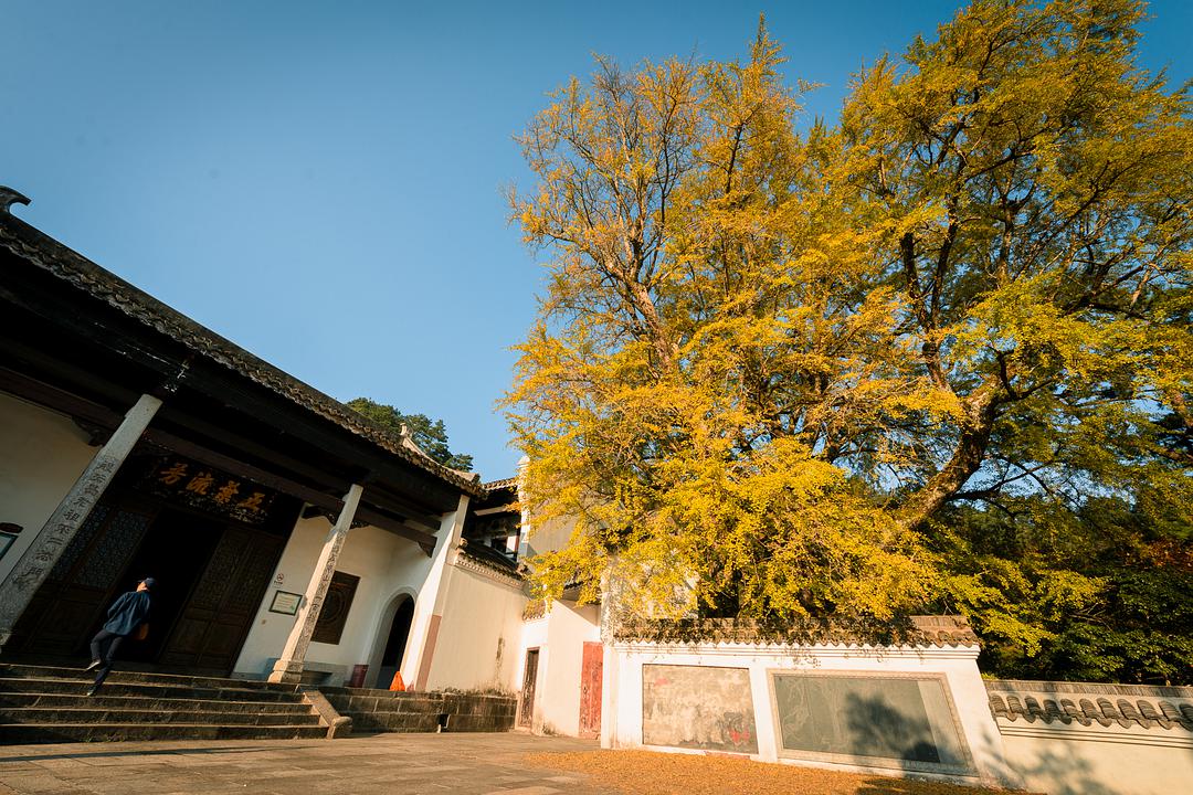 小团队周末奔袭南岳衡山，玩一把探秋观日