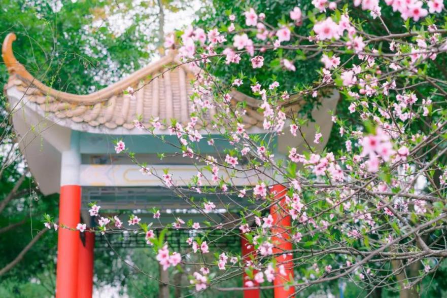 听说，这才是重庆