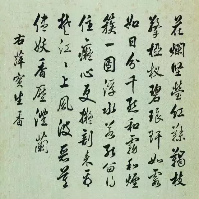 一朵牡丹价值超过100万,魅力何在?