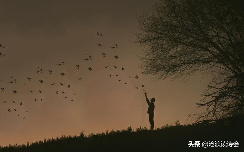 打工人的情怀与细腻，42首唯美诗句，写人生感悟，美到柔软心底