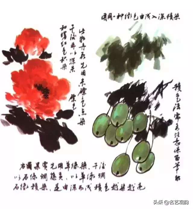 国画技法 | 写意花鸟画色彩技法详解之染色方法