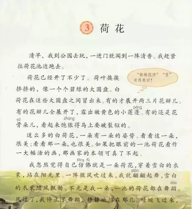 文字加偏旁组新字组词（文字加偏旁组新字组词二年级）-第2张图片-华展网