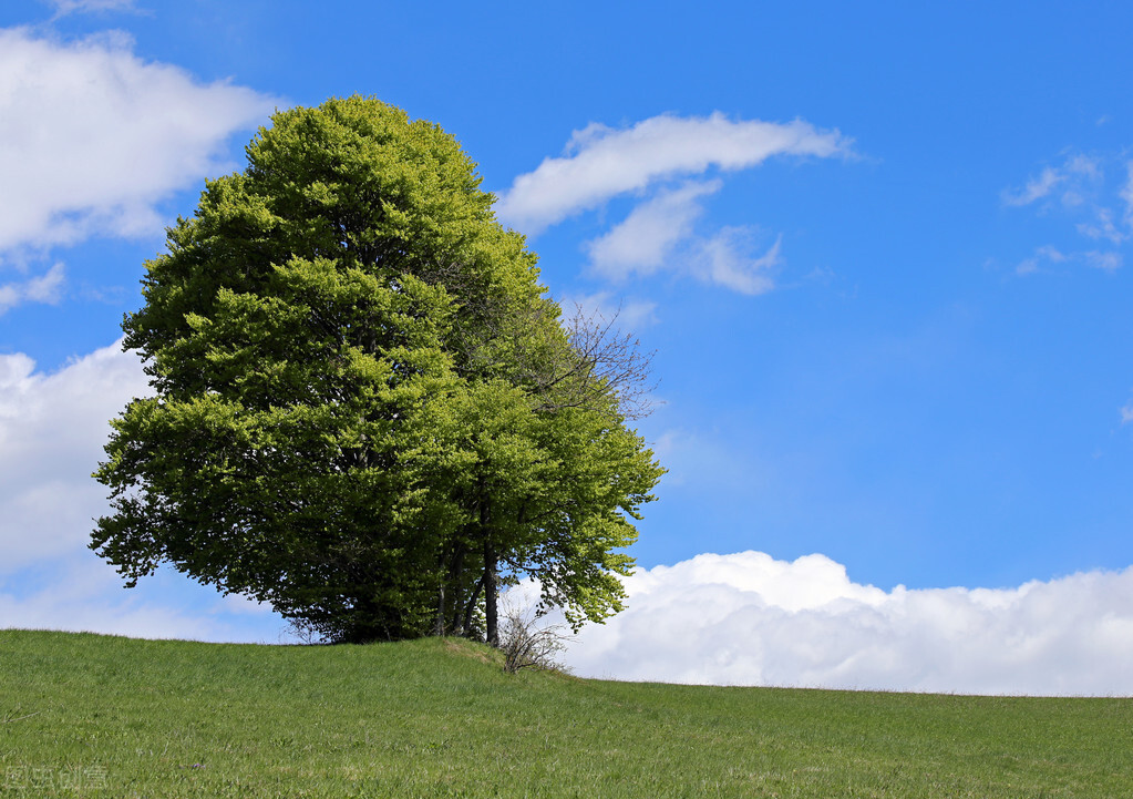 人生智慧：卑晓高之危，晦知明之患，静觉动之劳，默明言之躁