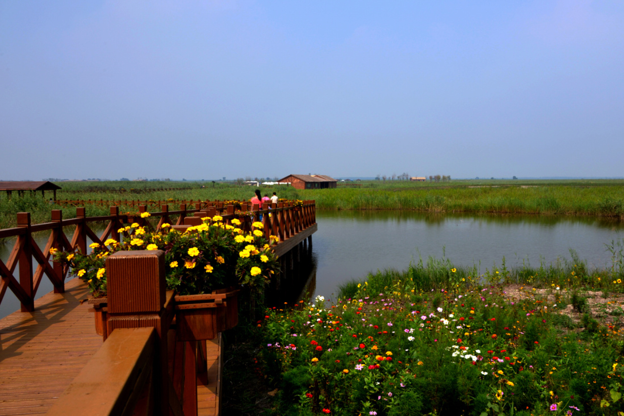 七里海国家湿地公园 七里海自驾游攻略-徐拾记官网