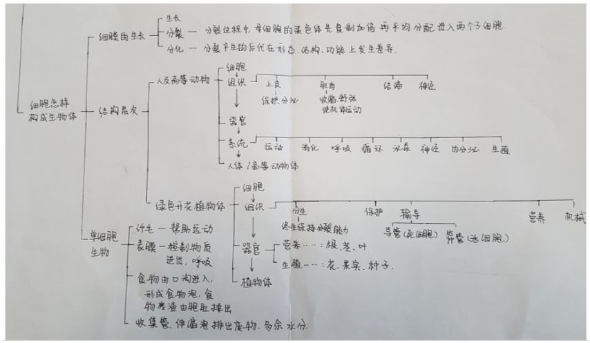 6个月从倒数逆袭成高考状元，学霸谈经验：成绩优秀，关键在方法