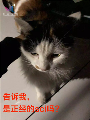 跳水运动员为什么可以在空中旋转（研究了这么多年物理学，我懂的还没我家猫多）