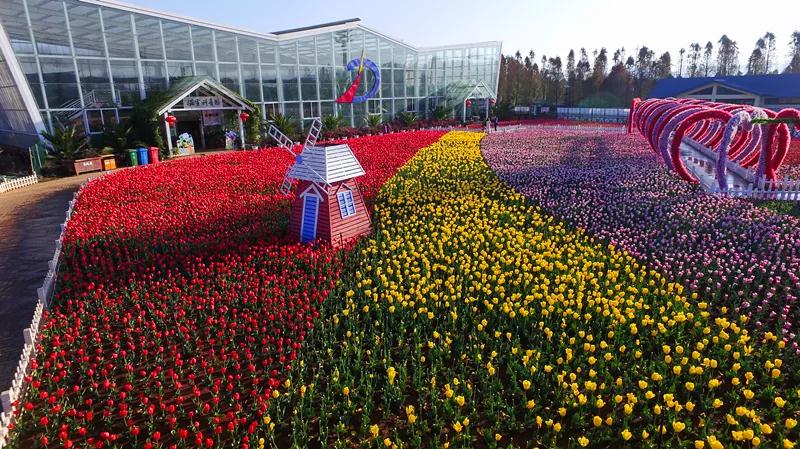 昆明最值得打卡的100个地方！你去过几个？