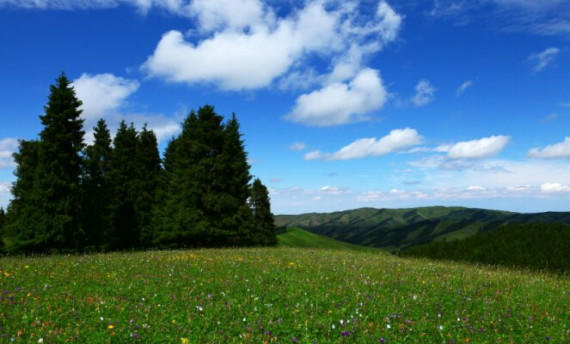 新疆 烏魯木齊 南山牧場 一日遊 旅遊攻略