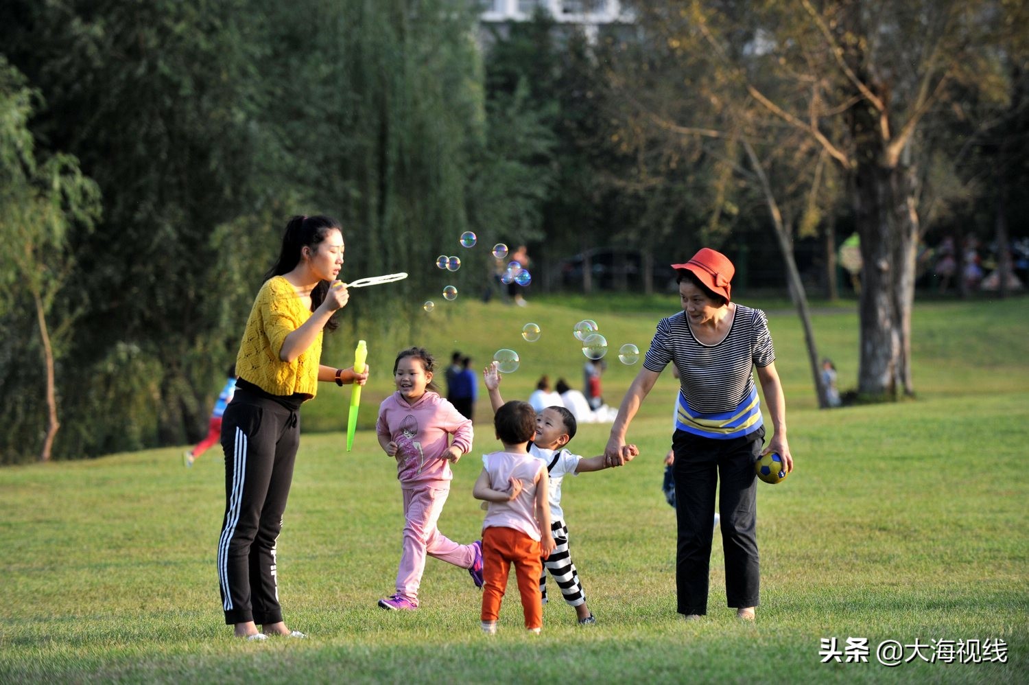 沈阳浑河足球场开放时间最新(沈阳浑河有十座公园 赏花海看天鹅宝宝，周末小游避暑好去处)