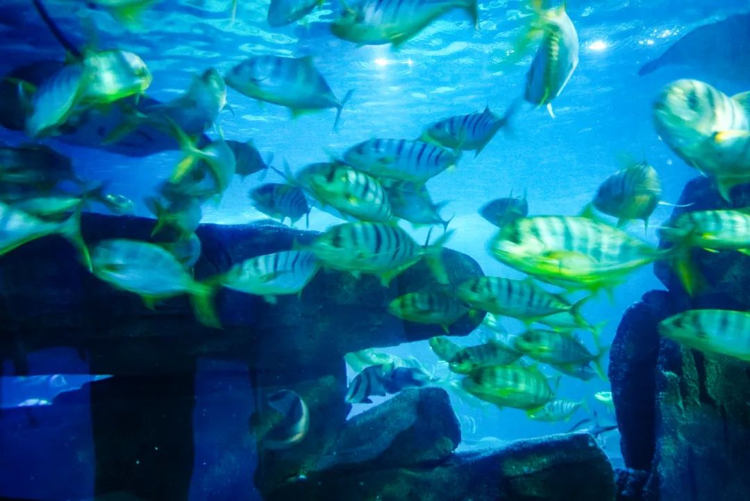 青春不散场，未来皆可期！高考毕业旅行季，我在蓬莱等你！