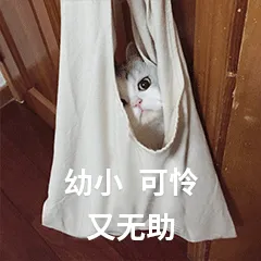 猫咪突然拉肚子了，该怎么办？