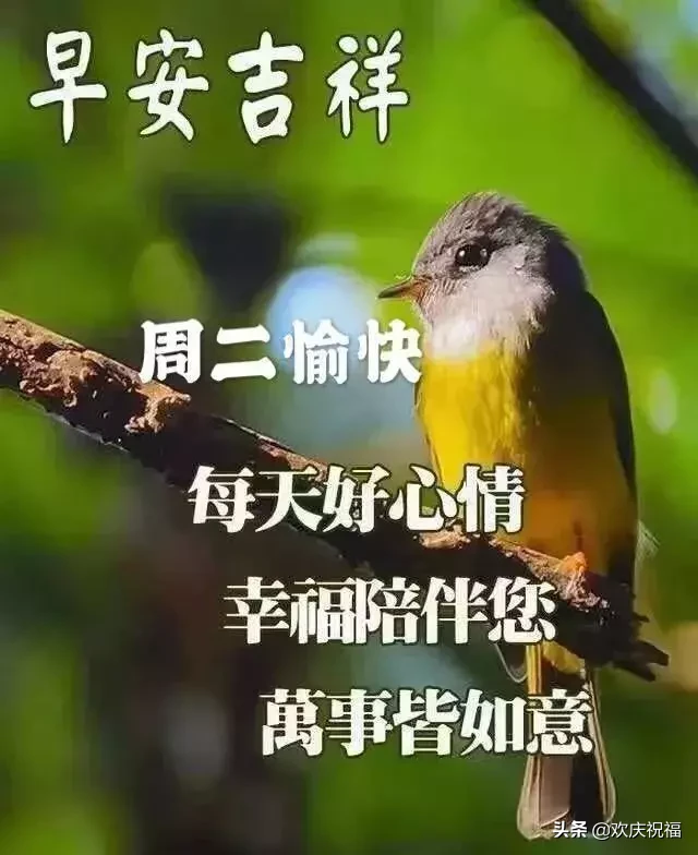 路在脚下，自己走；事在身上，自己担，，早安