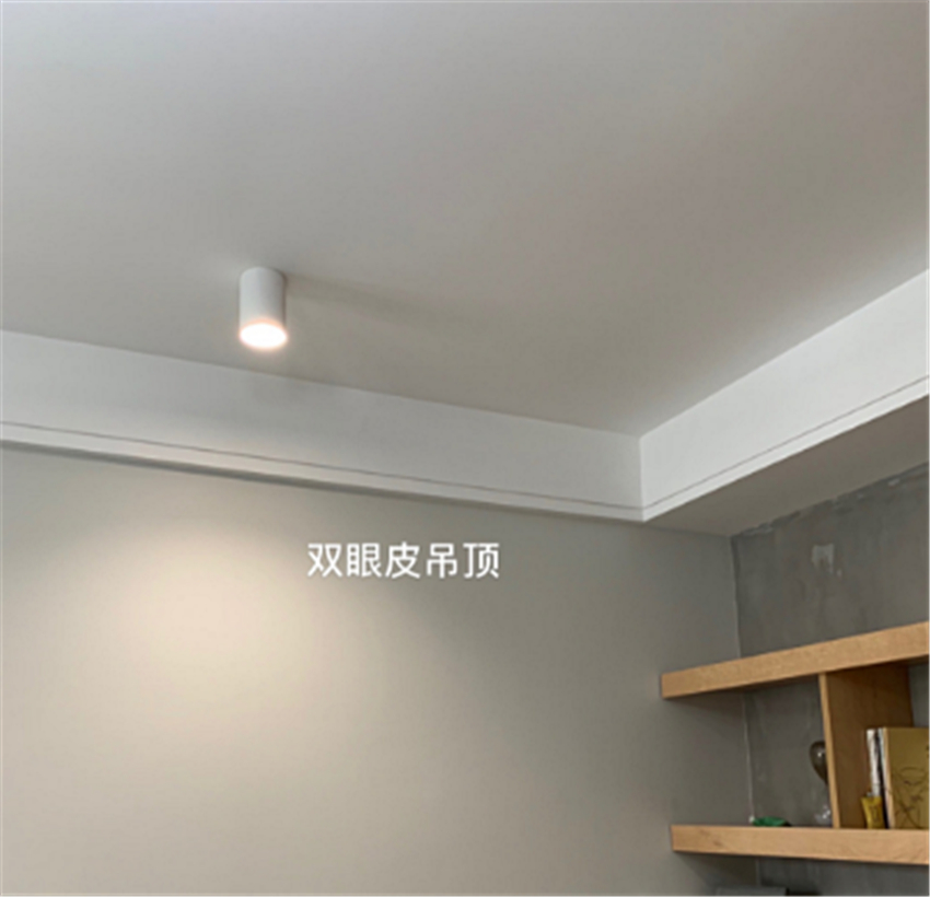 客厅别再做土丑的吊顶！学她家做个“双眼皮”，美观又耐看