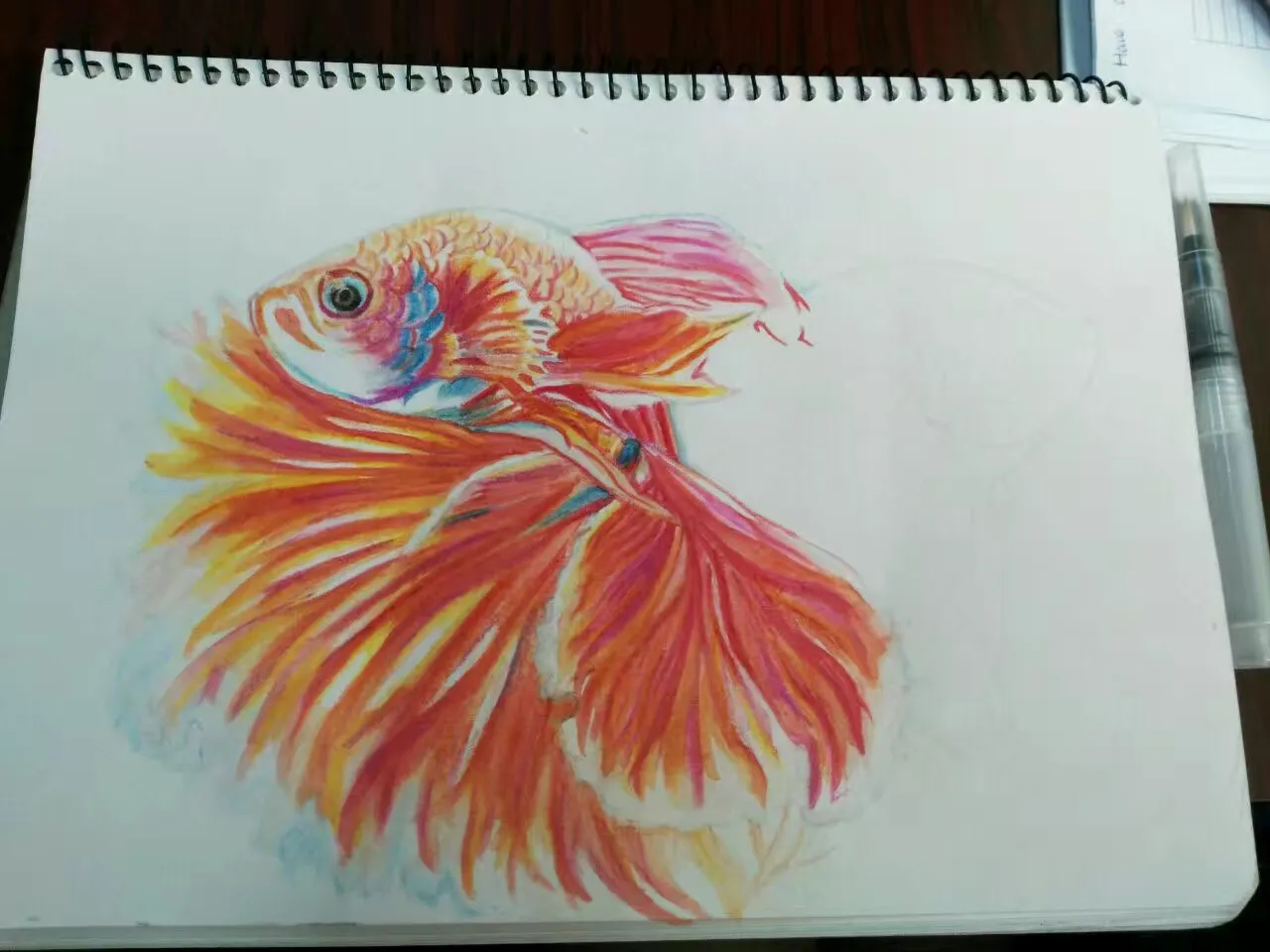 如何用水溶彩铅笔画鲤鱼