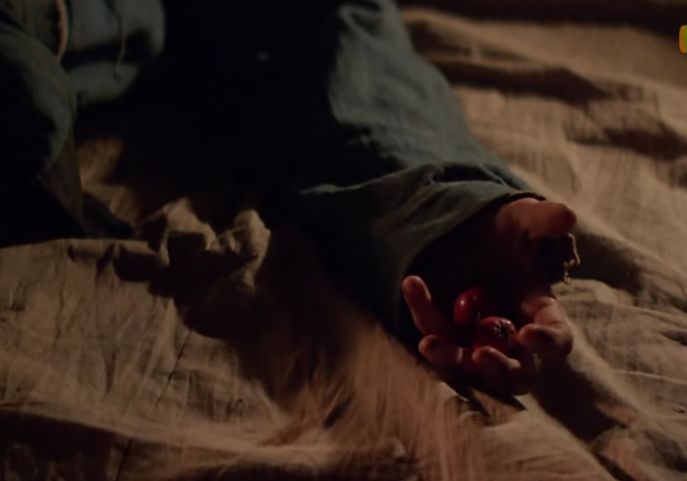 一颗山楂引发的山村血案，牵扯出一个哑巴女人身后隐藏的罪与爱