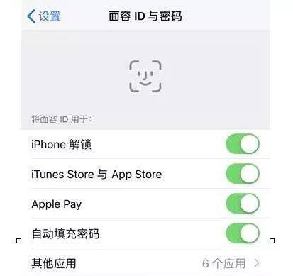 无法在此iPhone激活面容ID怎么办？