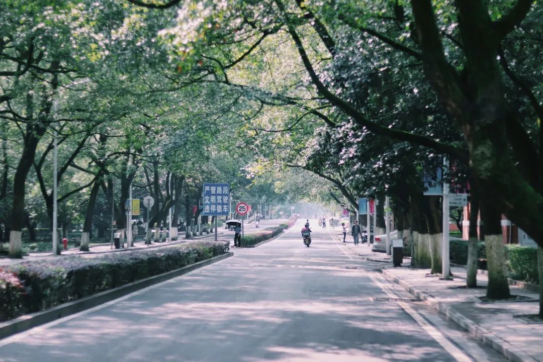 高考结束了？快来看看中南大学吧！