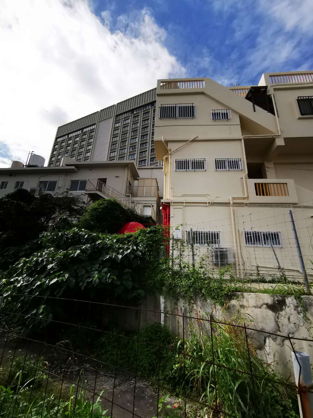 日本经济和社会问题多多，但这两大奇葩问题你可能没细想过