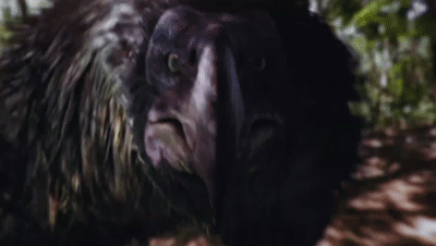 史前时代10大猛兽，霸王龙恐鳄巨齿鲨哪个最强？地球史前巨兽系列