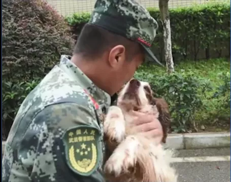 那块掉皮的金牌，朱雪莹捐了【三分钟法治新闻全知道】