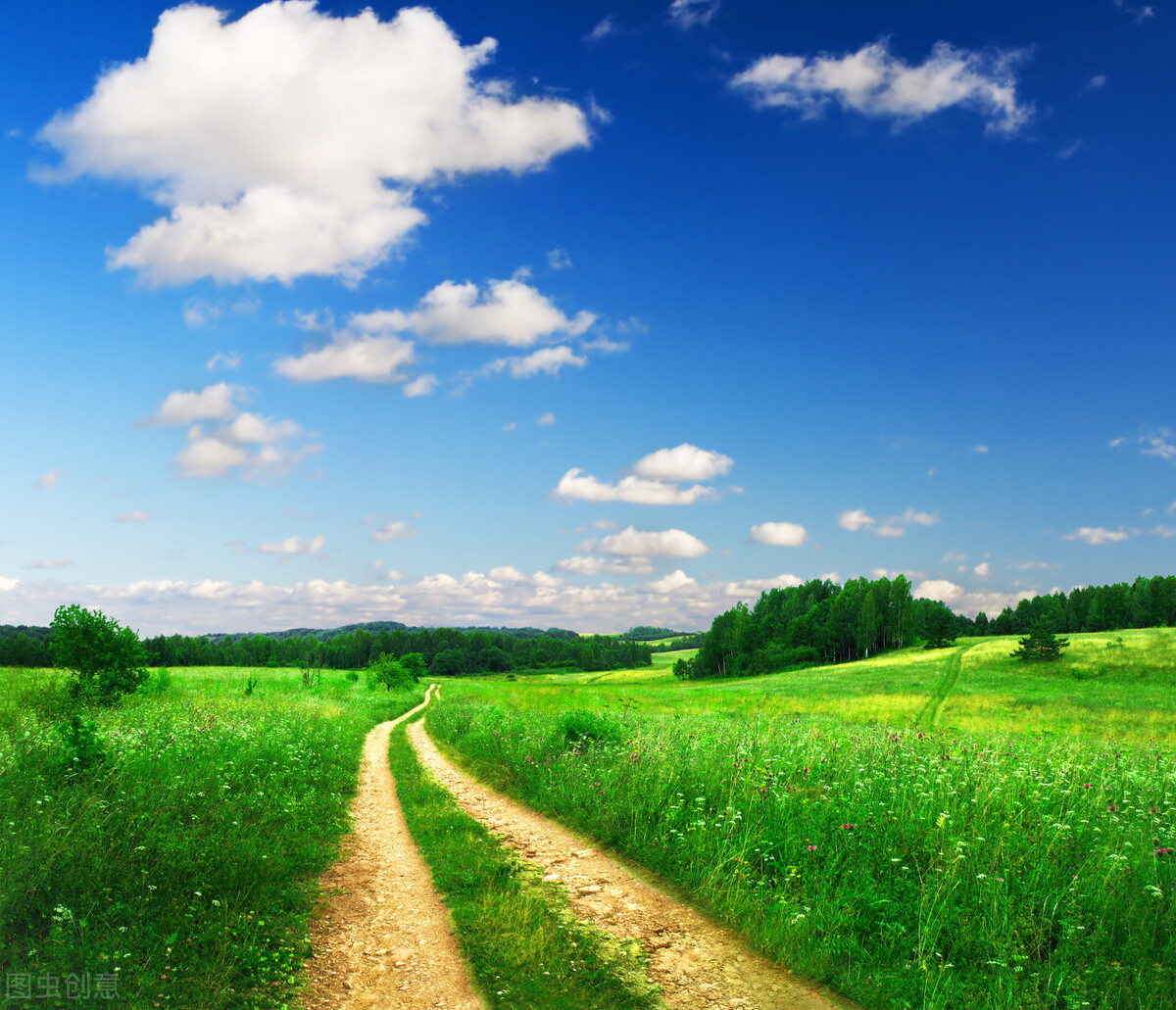 太阳比以往都更热情,炙烤着大地:我眼中的夏天