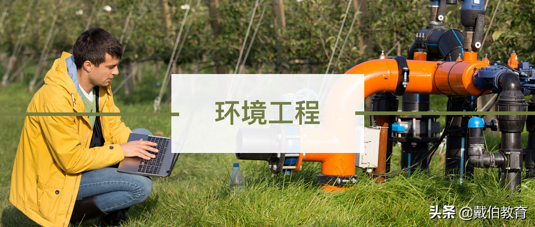 戴伯课堂 | 环境工程专业解析