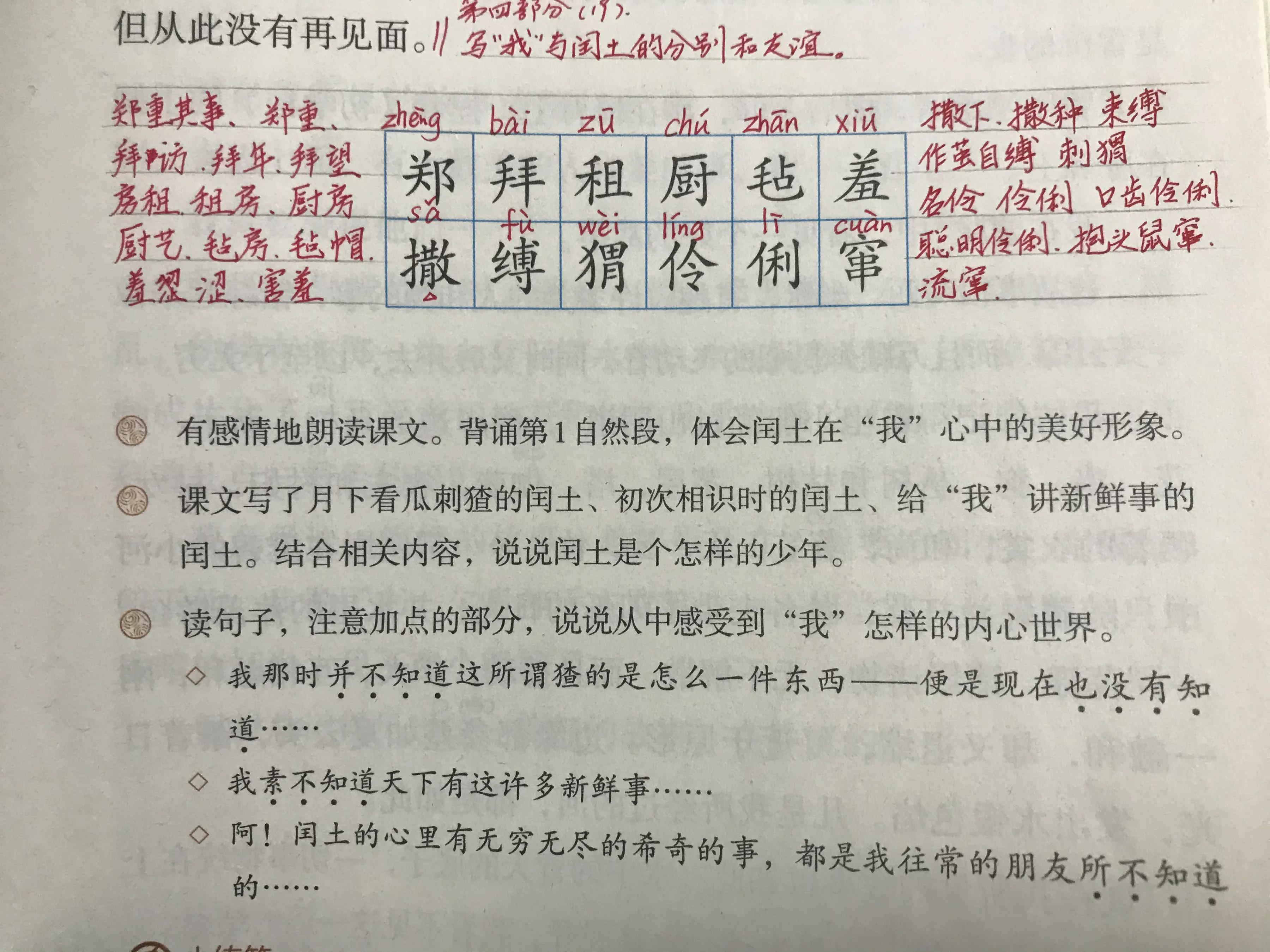 六年语文《少年闰土》，看资深教师讲解全文和课后题，知识点不少