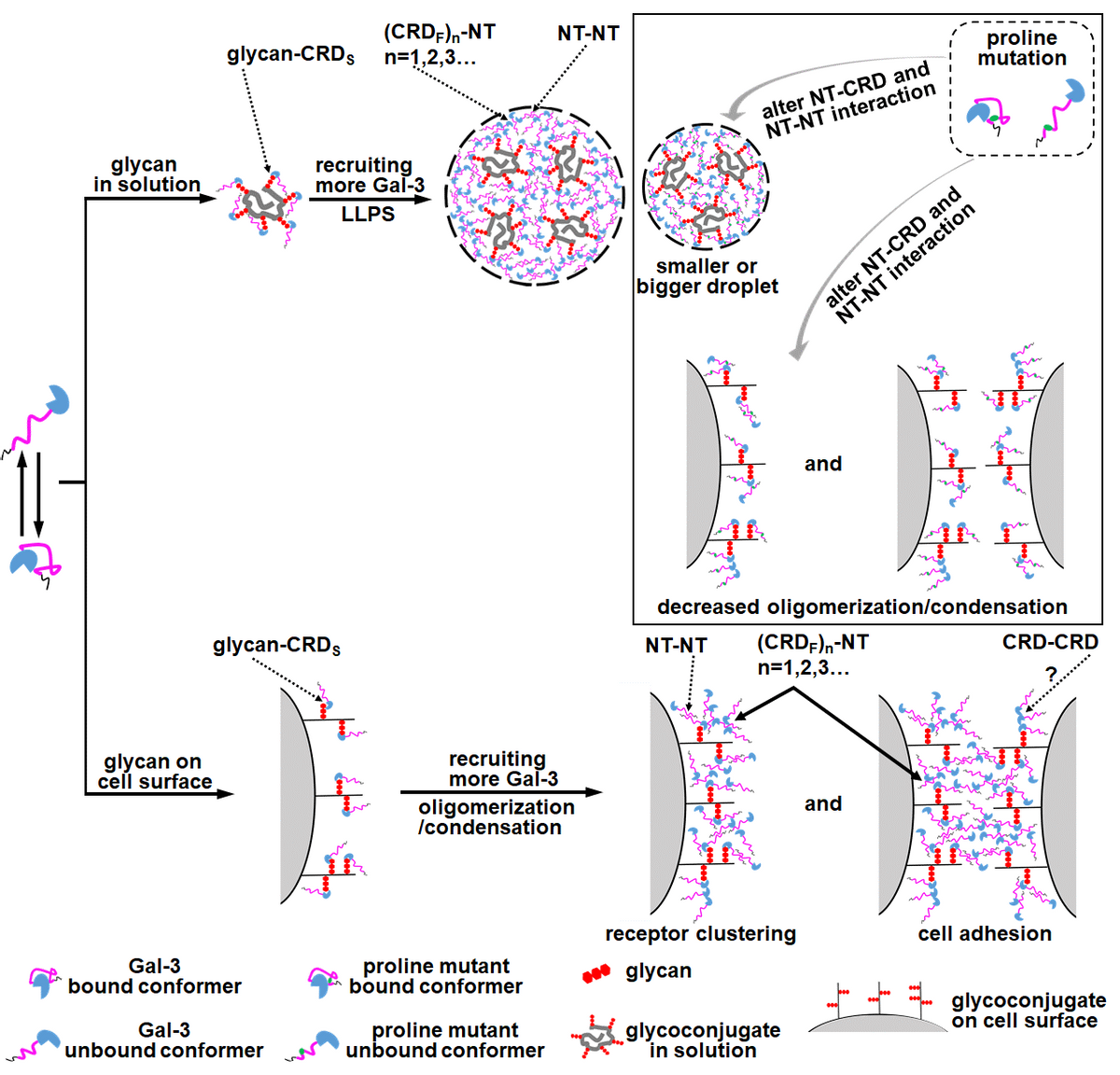聚焦全球危机！东北一高校连出重磅成果，获国际关注